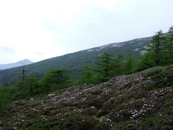 dscf7474.jpg