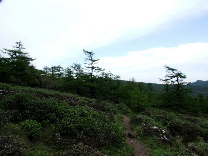 dscf7475.jpg