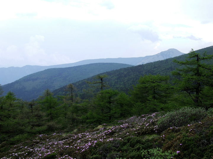 dscf7472.jpg