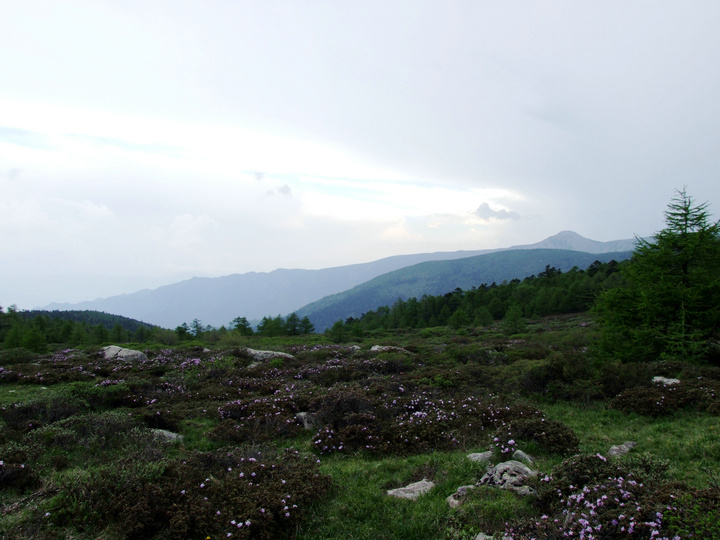 dscf7488.jpg