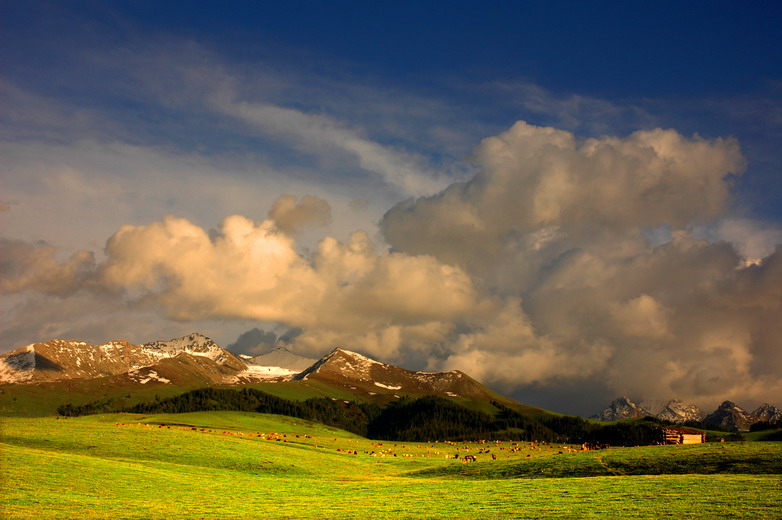dsc_9381.1_СС.jpg