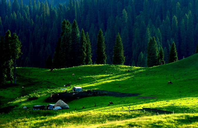 dsc_9823.1_СС.jpg