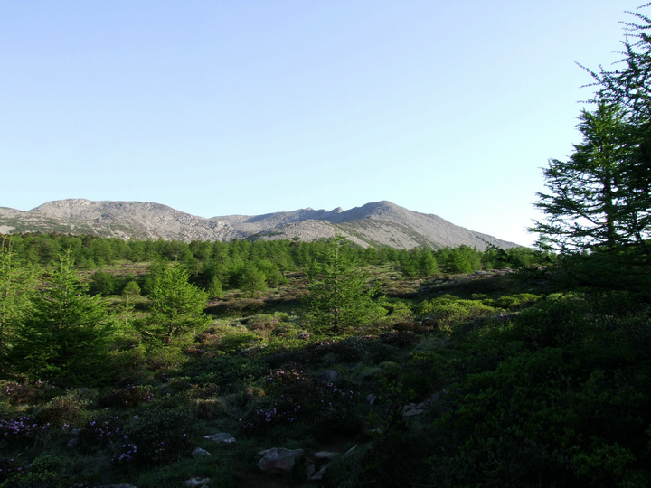dscf7497.jpg