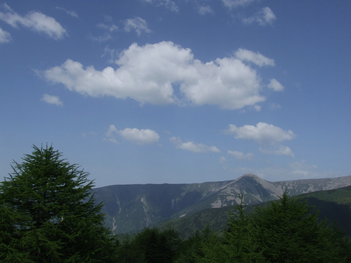 dscf7521.jpg