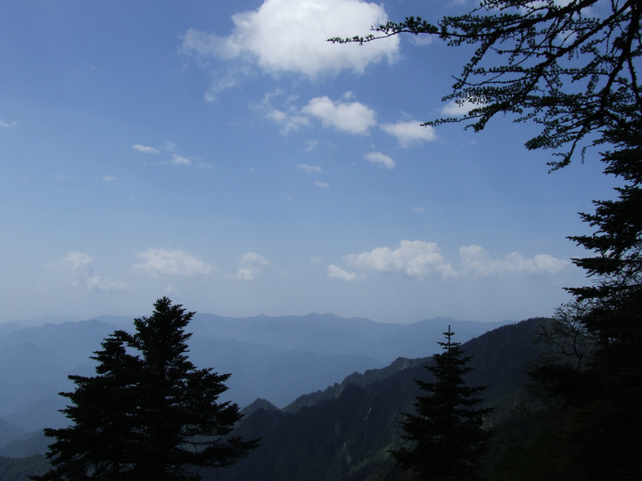 dscf7523.jpg