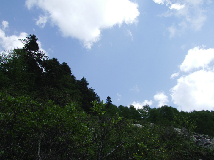 dscf7526.jpg