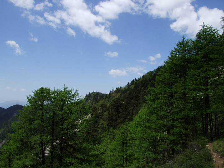 dscf7531.jpg