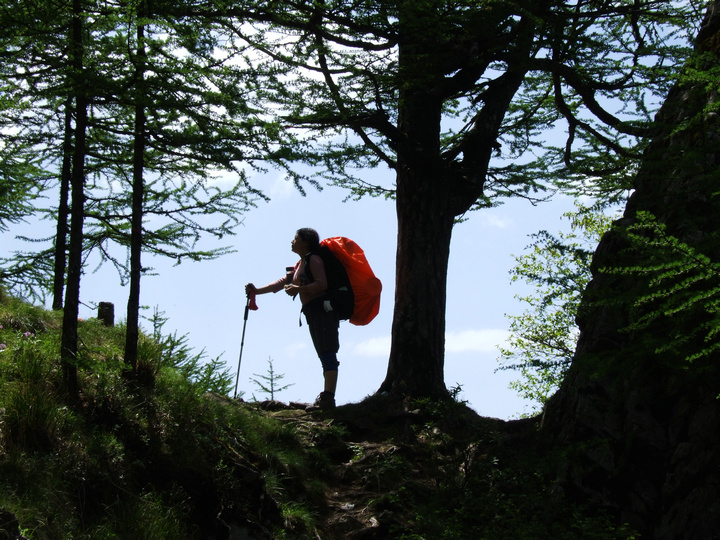 dscf7533.jpg