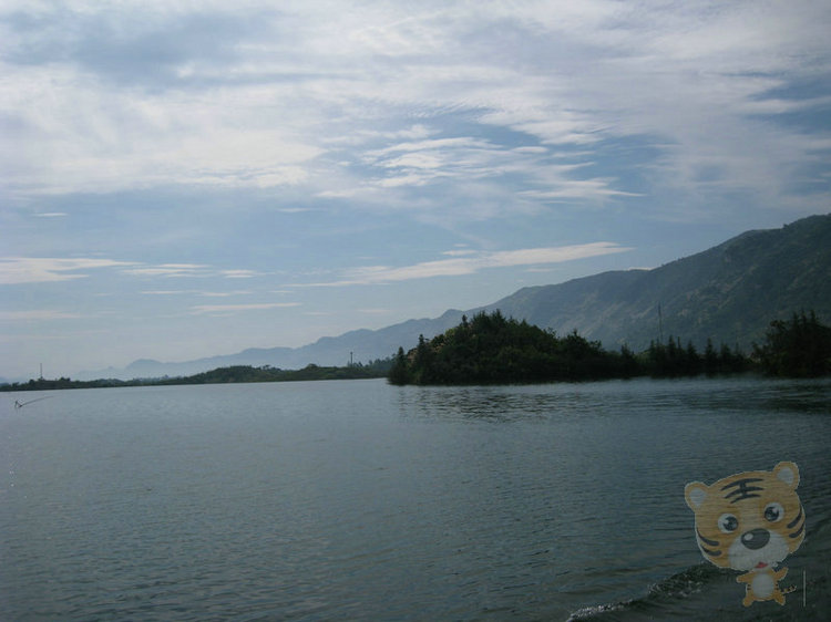 img_5238.jpg