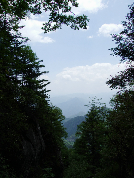 dscf7556.jpg