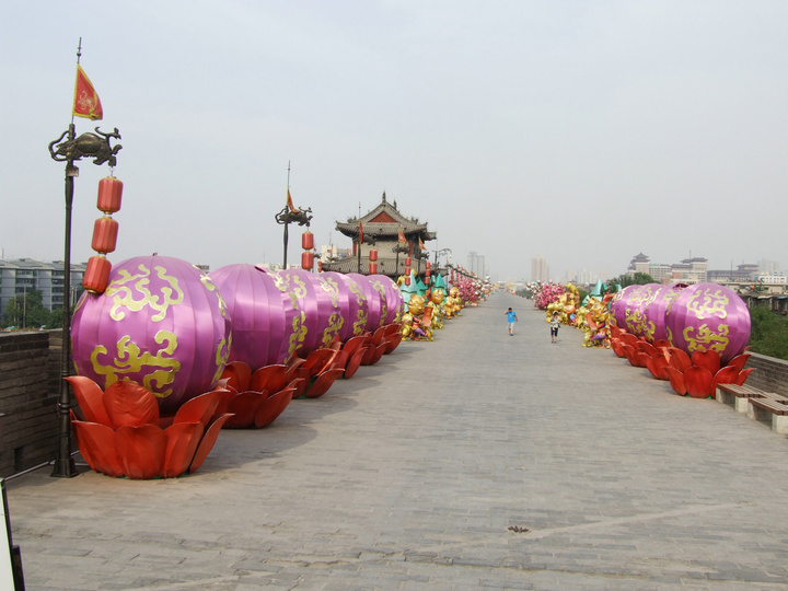 dscf7571.jpg