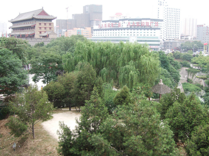 dscf7591.jpg