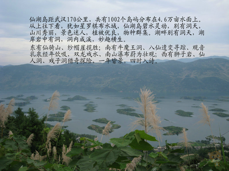 img_4976_1.jpg