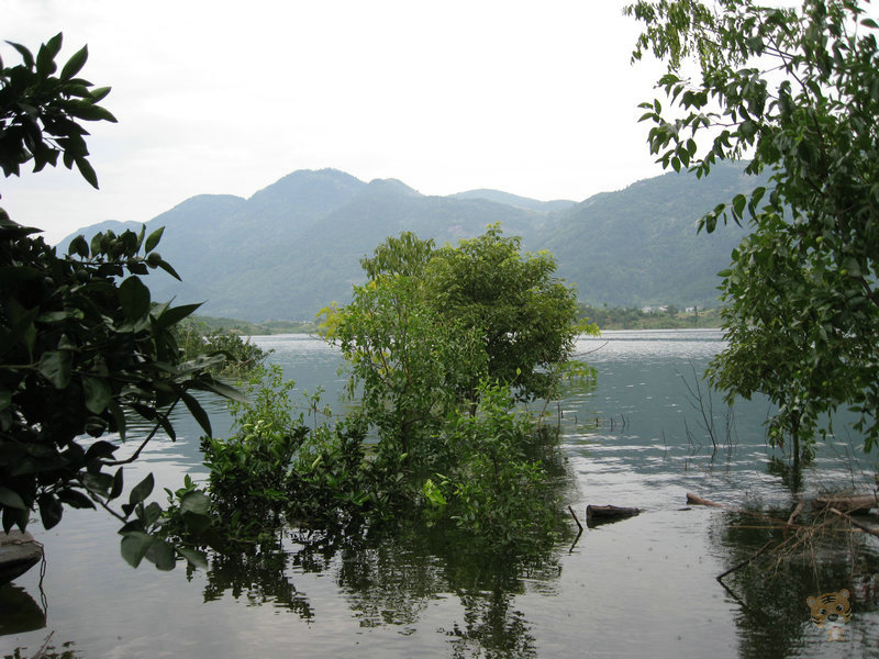 img_5020.jpg