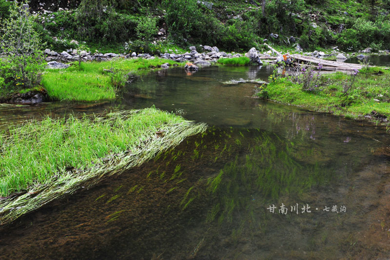 dsc_2314.jpg