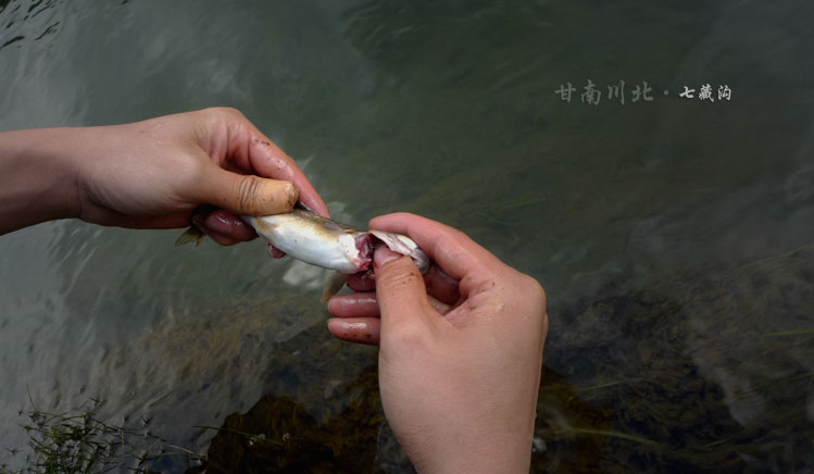 p1010002.jpg