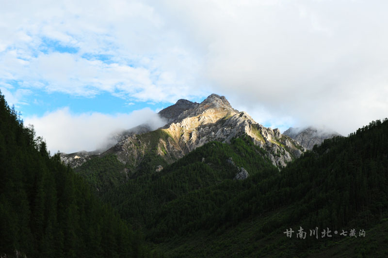 dsc_2462.jpg