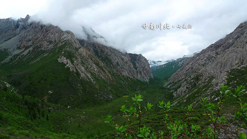 p1010097.jpg