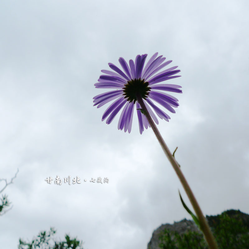 p1010255.jpg