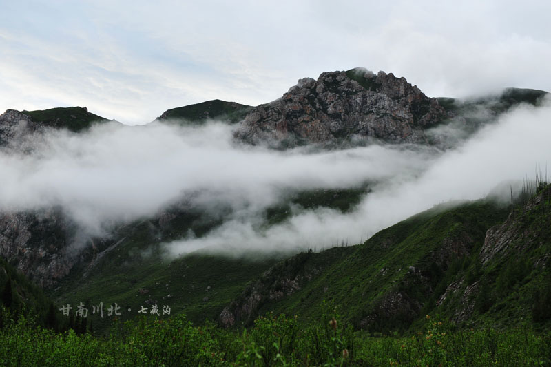 dsc_2625.jpg