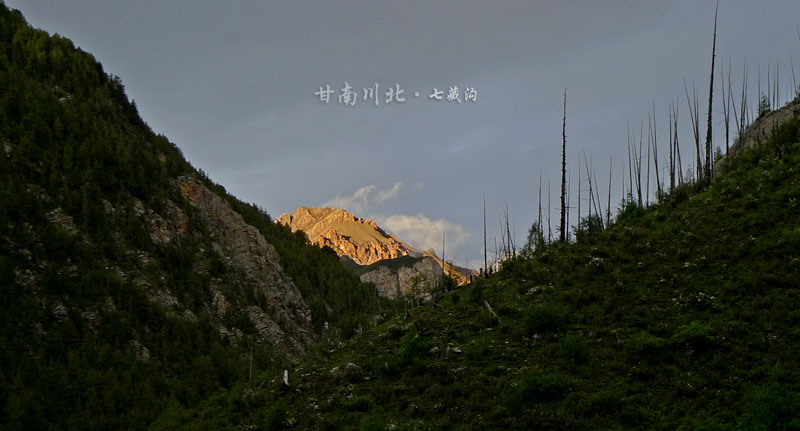 p1010274.jpg