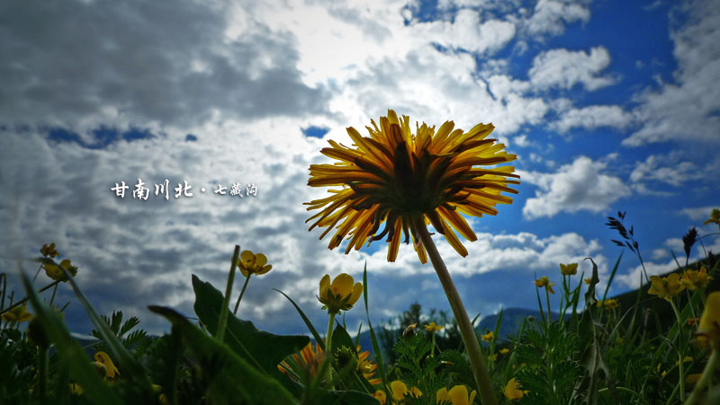 p1010481.jpg