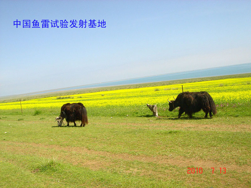 发5.jpg