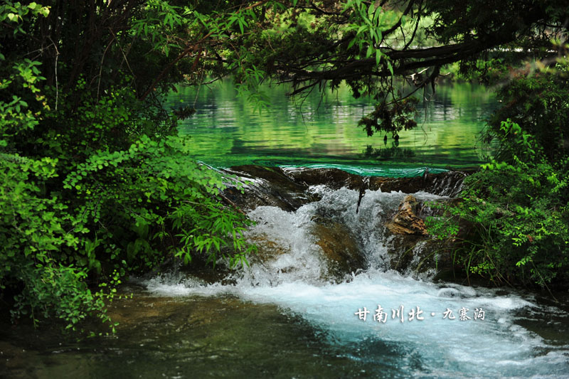 dsc_3459-2.jpg