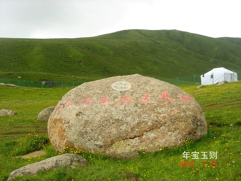 发22.jpg