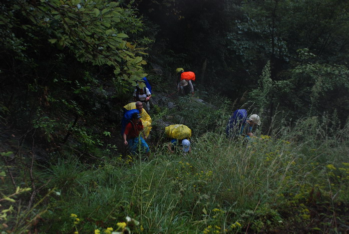 2009961961.jpg
