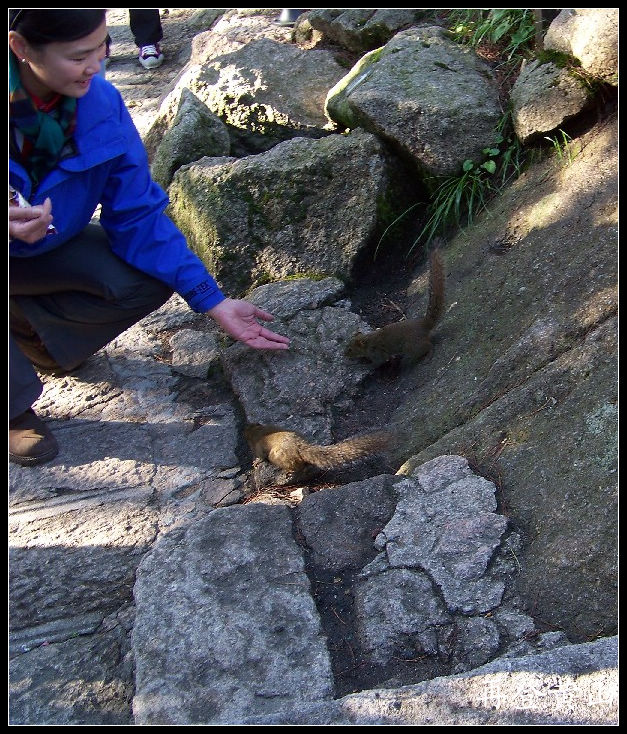 20100524ɽe۷ʯ (39)x.jpg