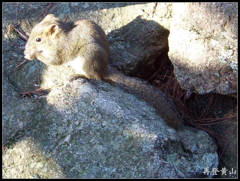 20100524ɽe۷ʯ (44)x.jpg