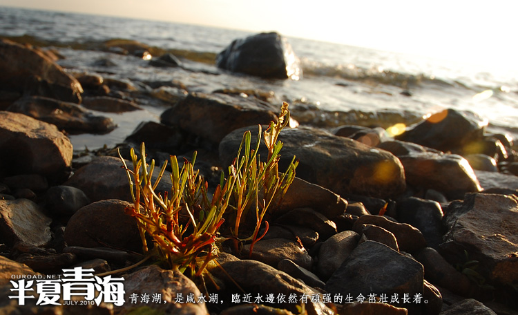 20100713_11342.jpg