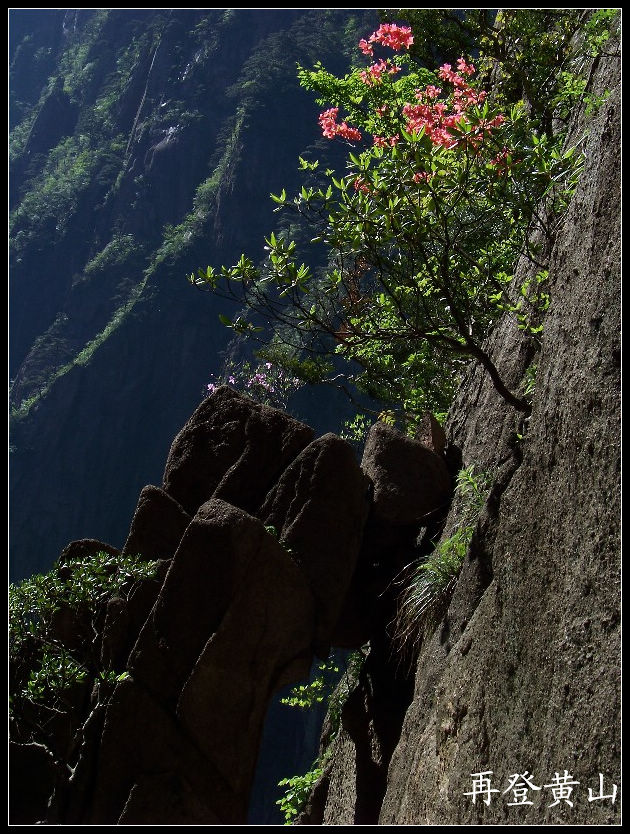 2010年0524黄山j下西海大峡谷 (45)8点45分.jpg