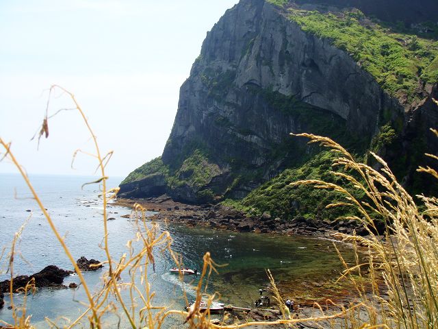 dsc01760.jpg