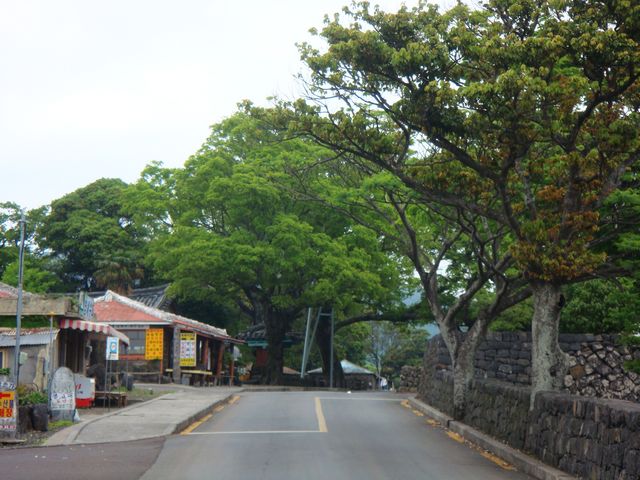 dsc01781.jpg