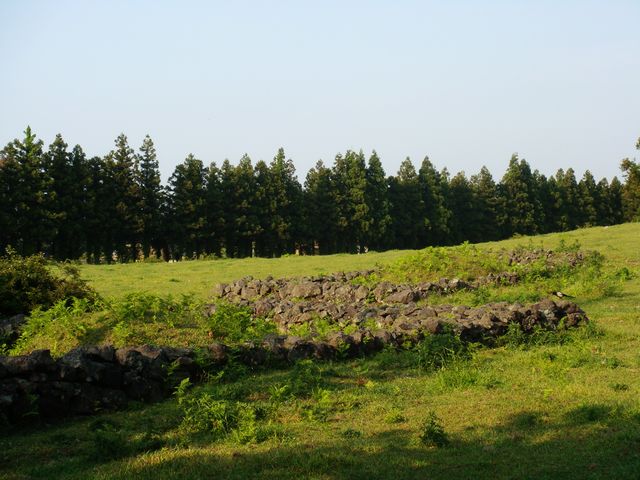 dsc01827.jpg
