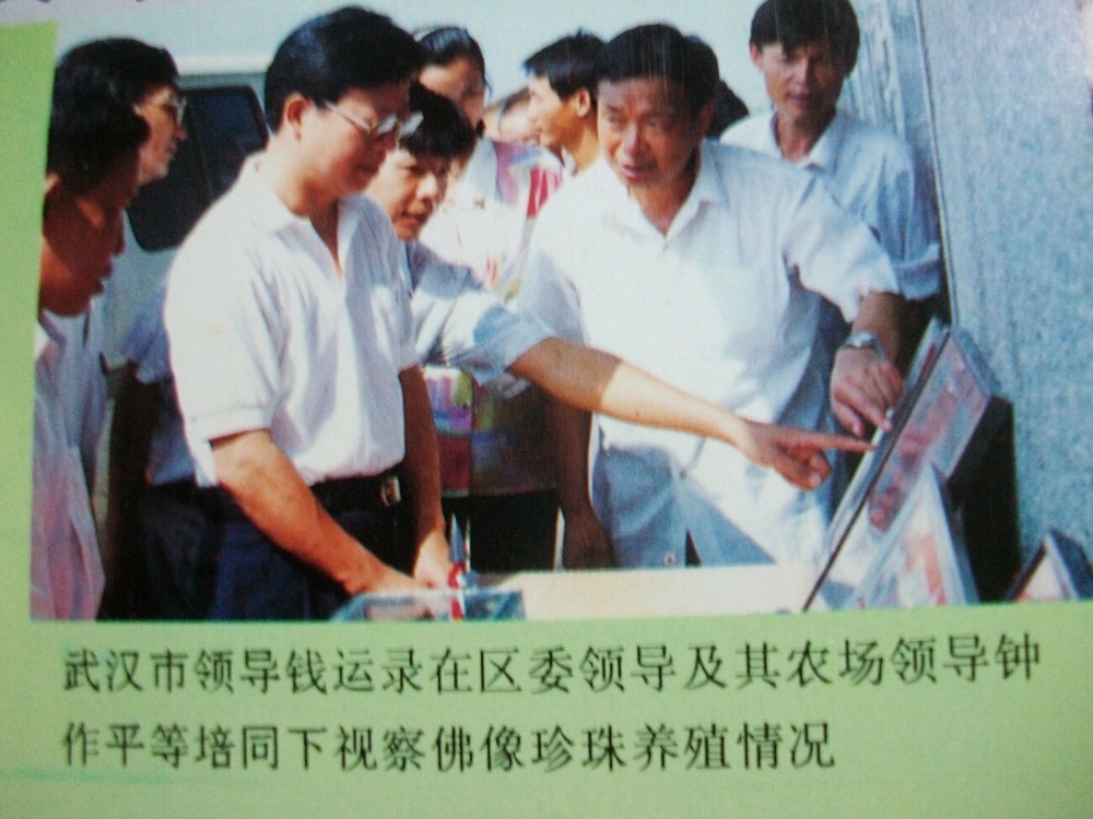 alim3933.jpg
