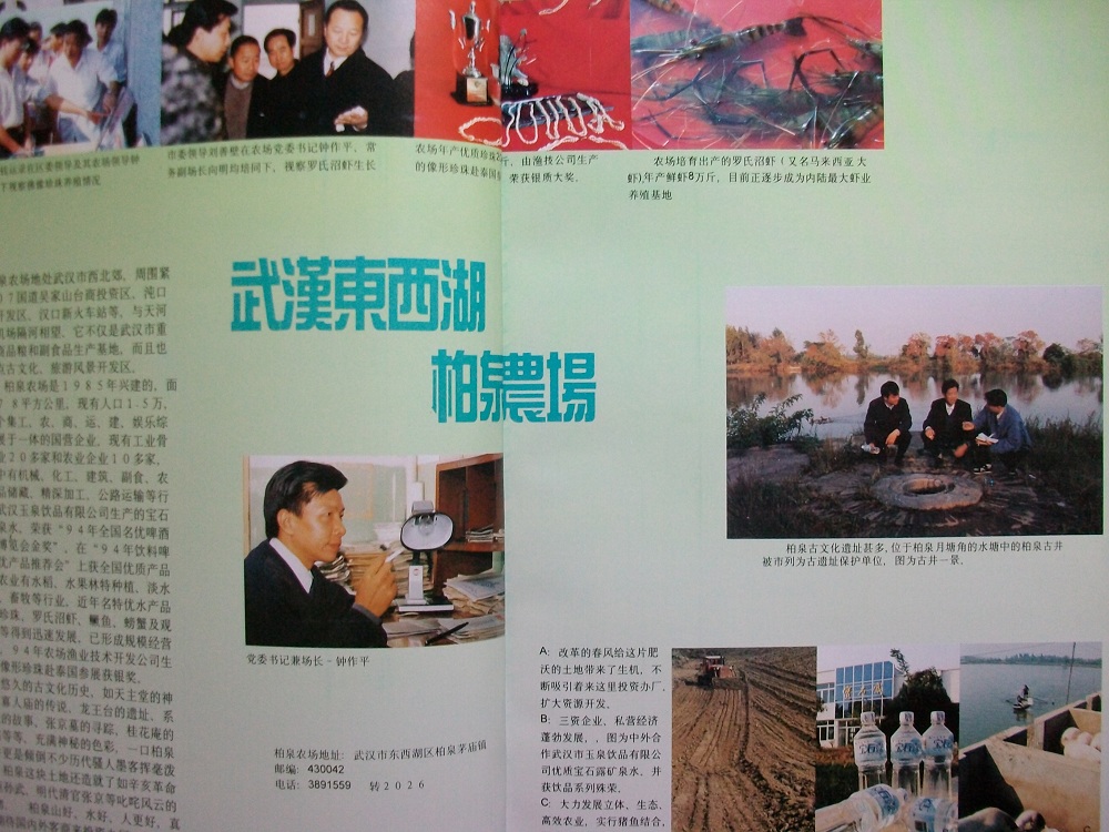 alim3928.jpg