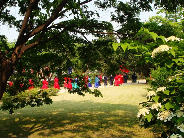 dsc01875.jpg