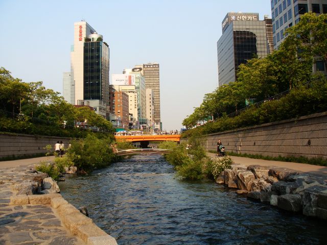 dsc01893.jpg