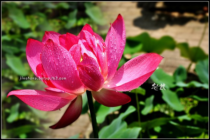 neo_img_dsc_3445p.jpg