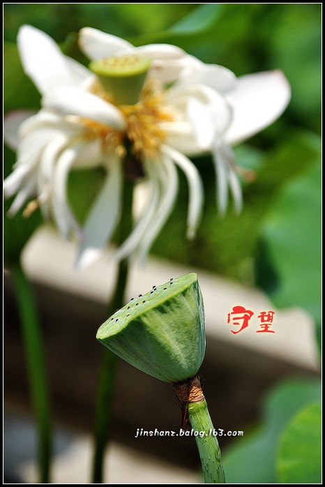 neo_img_dsc_3409p.jpg