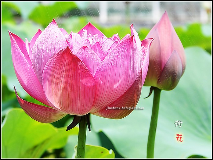neo_img_dsc_3350p.jpg