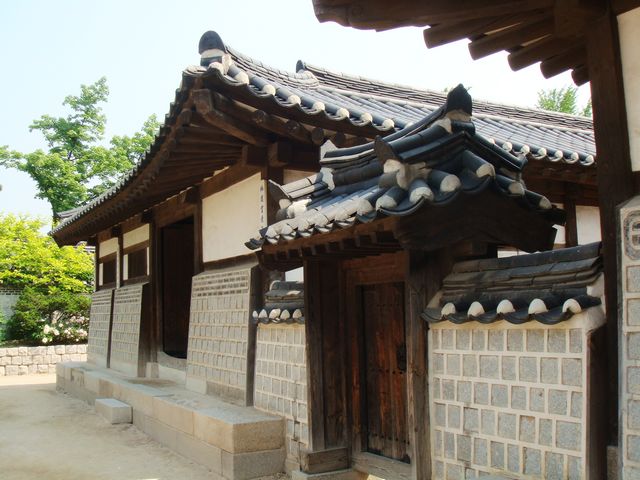 dsc01909.jpg