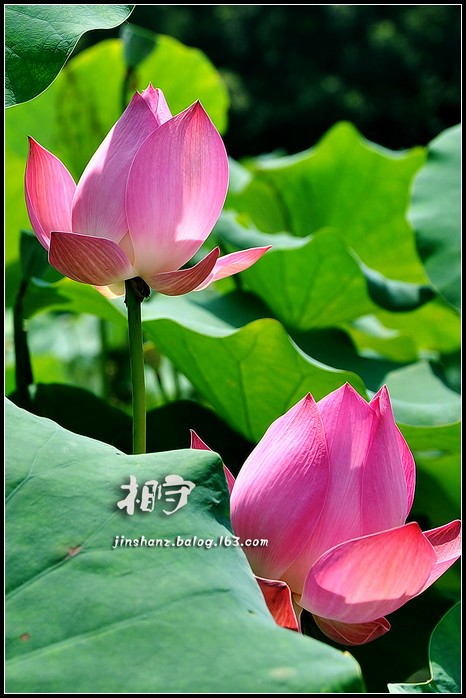 neo_img_dsc_3298p.jpg