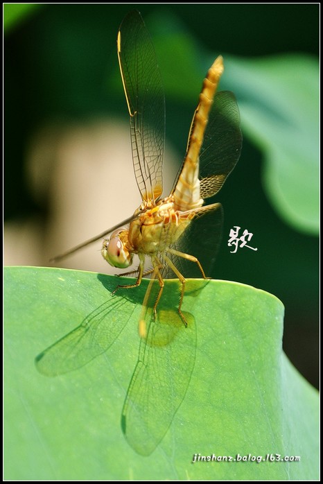 neo_img_dsc_3384p.jpg