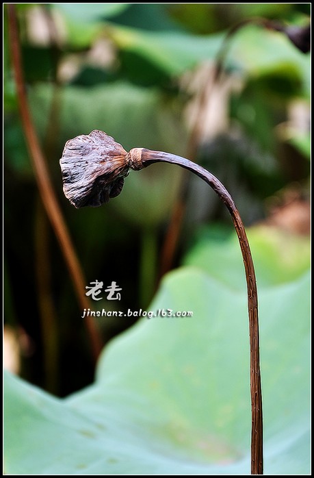 neo_img_dsc_3401p.jpg