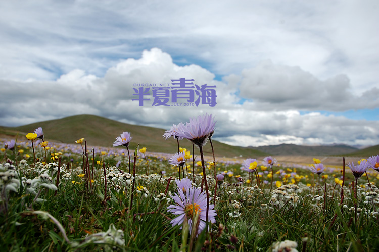 20100713_14902.jpg