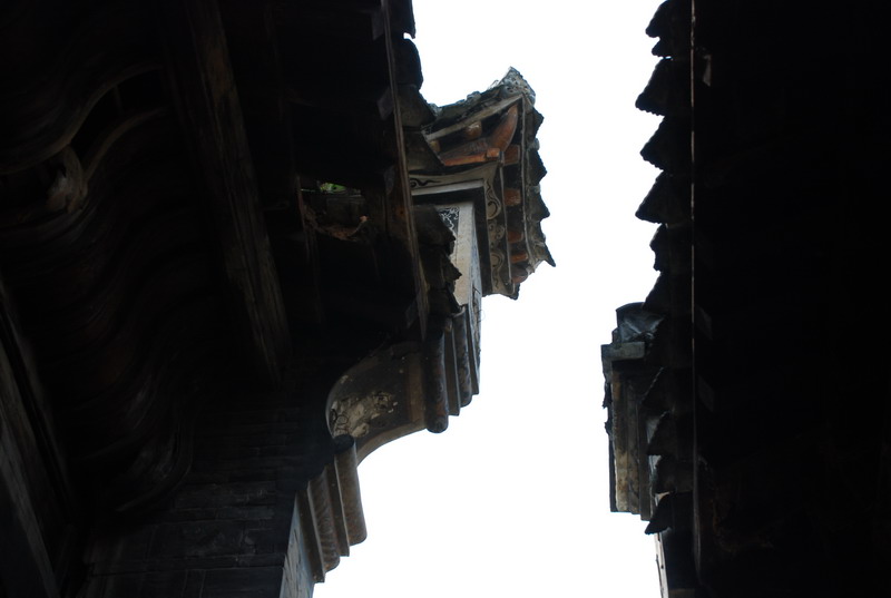 dsc_0557.jpg
